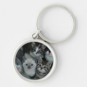 Chaveiro Gatinhos em uma cesta
