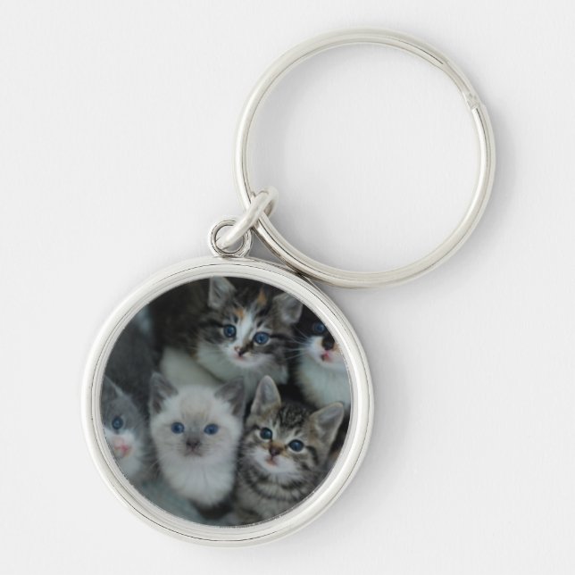 Chaveiro Gatinhos em uma cesta (Frente)