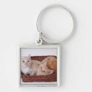 Chaveiro Gatinhos na cesta