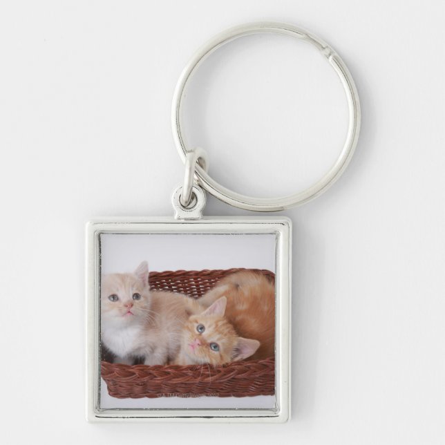 Chaveiro Gatinhos na cesta (Frente)