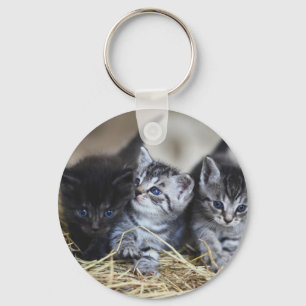 Chaveiro Gatinhos, Pet, Felines
