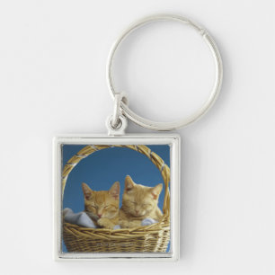 Chaveiro Gatinhos que dormem na cesta