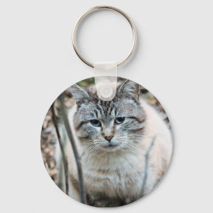 Chaveiro Gato