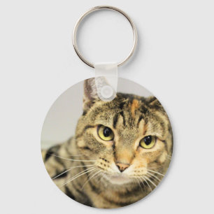 Chaveiro Gato