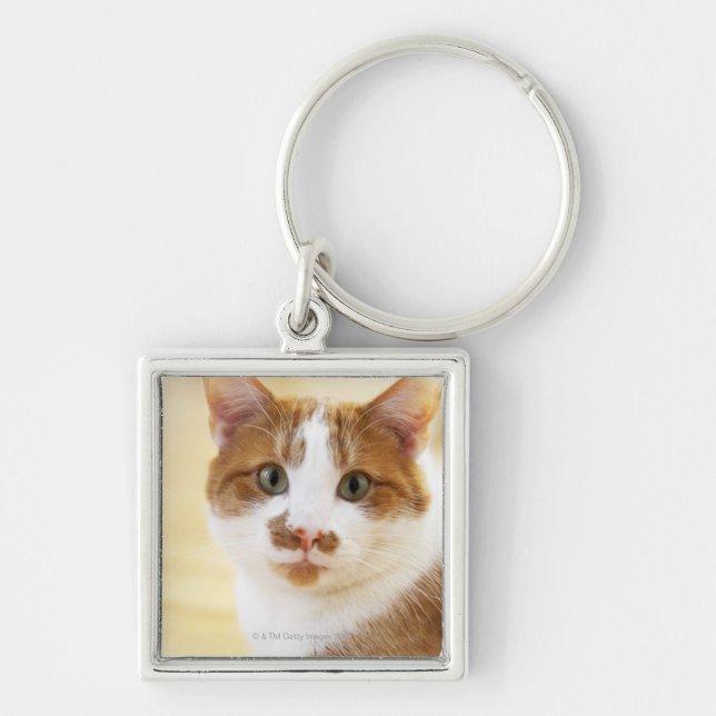 Chaveiro gato alaranjado e branco que olha a câmera (Frente)