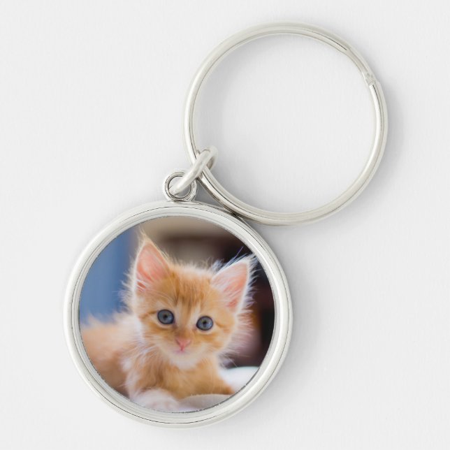 Chaveiro Gato bonito com olhos azuis (Frente)