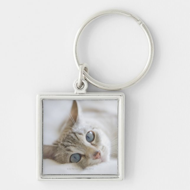 Chaveiro Gato branco bonito com os olhos azuis que colocam (Frente)