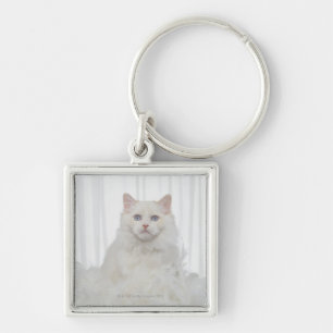 Chaveiro Gato branco com penas