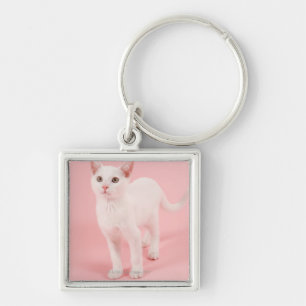 Chaveiro Gato branco novo 2