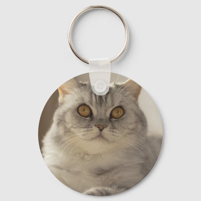 Chaveiro Gato, cabelo curto britânico, Felino (Frente)