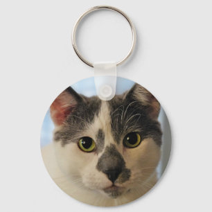 Chaveiro Gato Cinto
