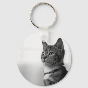 Chaveiro Gato Cinto