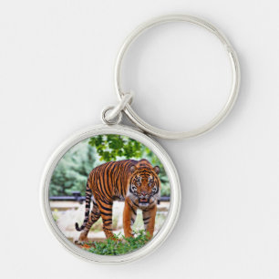 Chaveiro gato com estampa de tigre personalizado aniversári