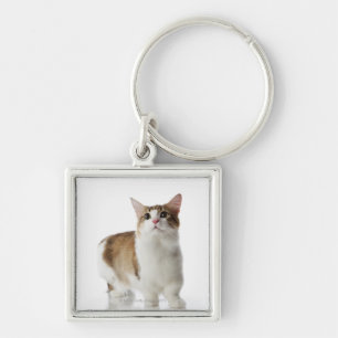 Chaveiro Gato com pés curtos