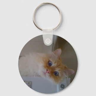 Chaveiro Gato da Floresta Siberiana