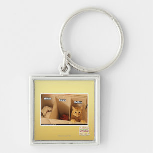 Chaveiro Gato da lavanderia