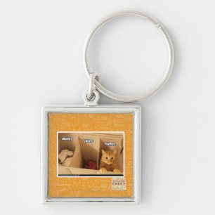 Chaveiro Gato da lavanderia