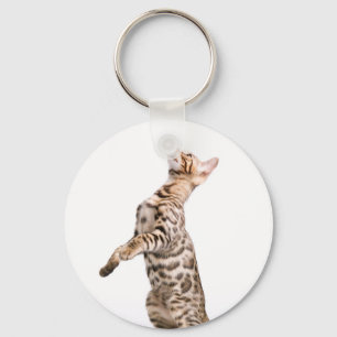 Chaveiro Gato de Bengal