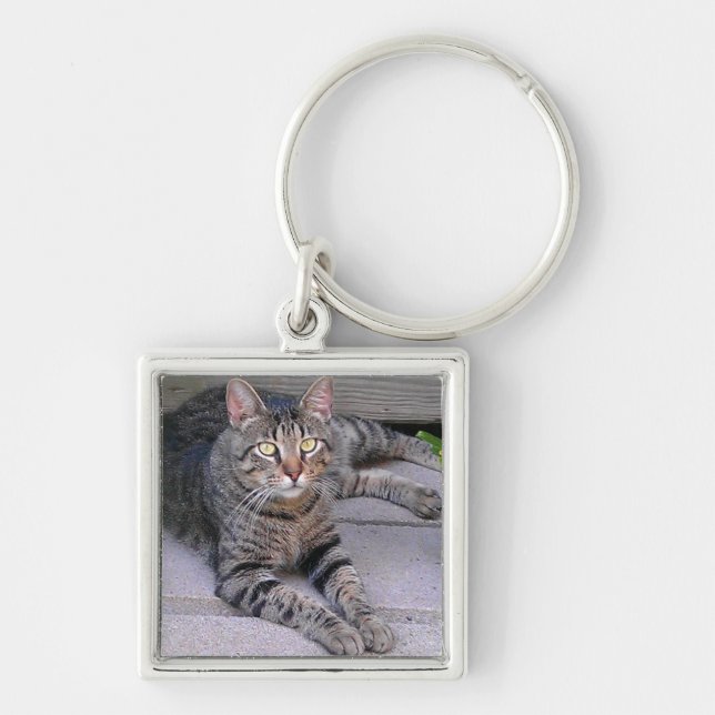 Chaveiro Gato de gato malhado de Brown fora (Frente)