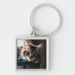 Chaveiro Gato de gato malhado masculino novo 2