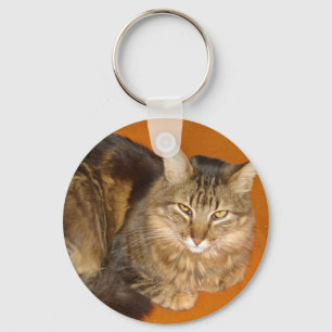 Chaveiro Gato de Maine Coon