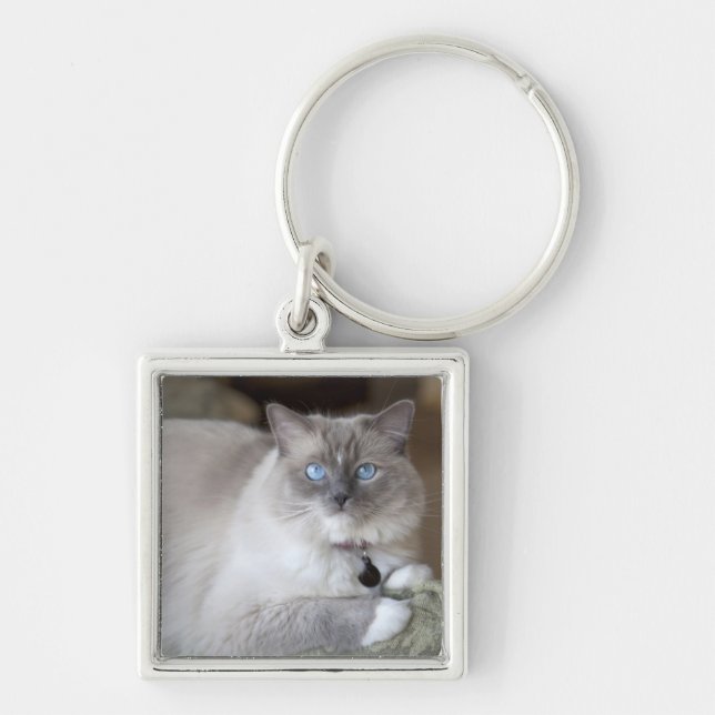 Chaveiro Gato de Ragdoll feminino (Frente)