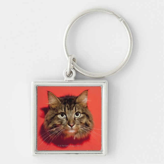 Chaveiro Gato de Saiberian (Frente)