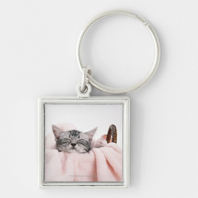 Chaveiro Gato de Shorthair do americano (Frente)