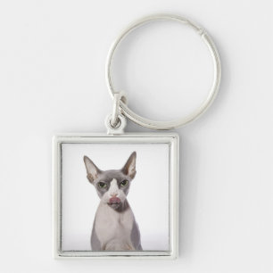 Chaveiro Gato de Sphynx com língua para fora