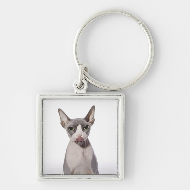 Chaveiro Gato de Sphynx com língua para fora (Frente)