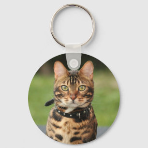 Chaveiro Gato de Tigre de Bengala