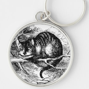 Chaveiro Gato do Cheshire de Lewis Carroll