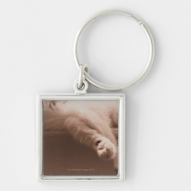 Chaveiro Gato do sono (Frente)