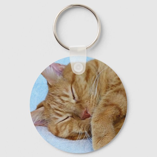 Chaveiro Gato Dormindo (Frente)