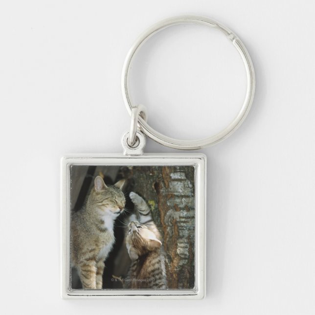 Chaveiro Gato e gatinho pela árvore (Frente)