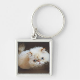 Chaveiro Gato em uma caixa