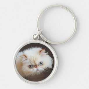 Chaveiro Gato em uma caixa
