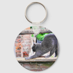 Chaveiro Gato engraçado se esticando