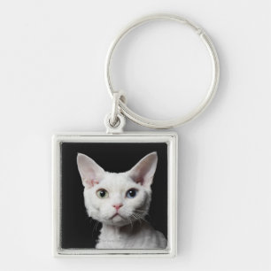 Chaveiro Gato impar-eyed branco