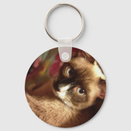 Chaveiro Gato Marrom Bonito