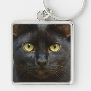 Chaveiro Gato negro