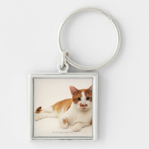 Chaveiro Gato no fundo branco