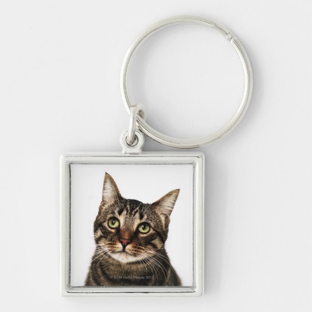 Chaveiro Gato no fundo branco 2 (Frente)
