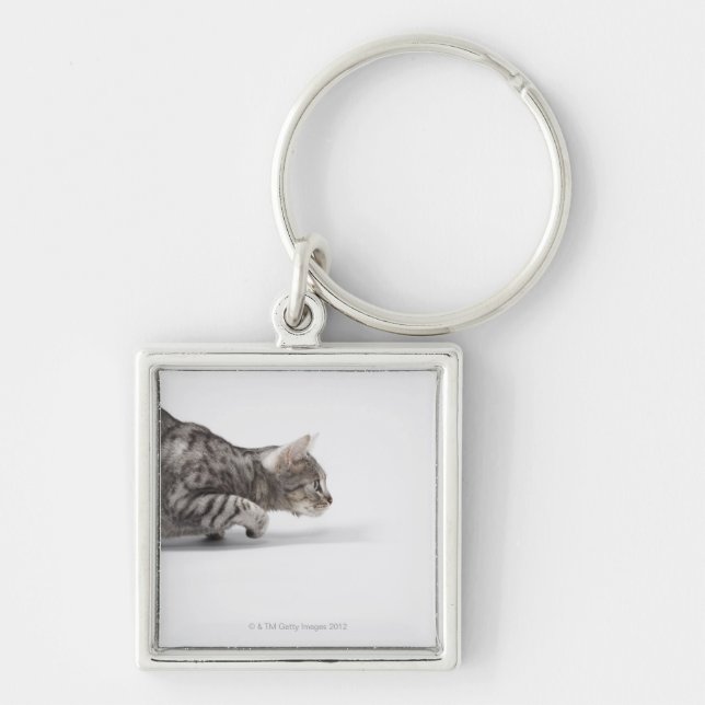 Chaveiro Gato pronto para atacar (Frente)