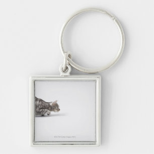 Chaveiro Gato pronto para atacar