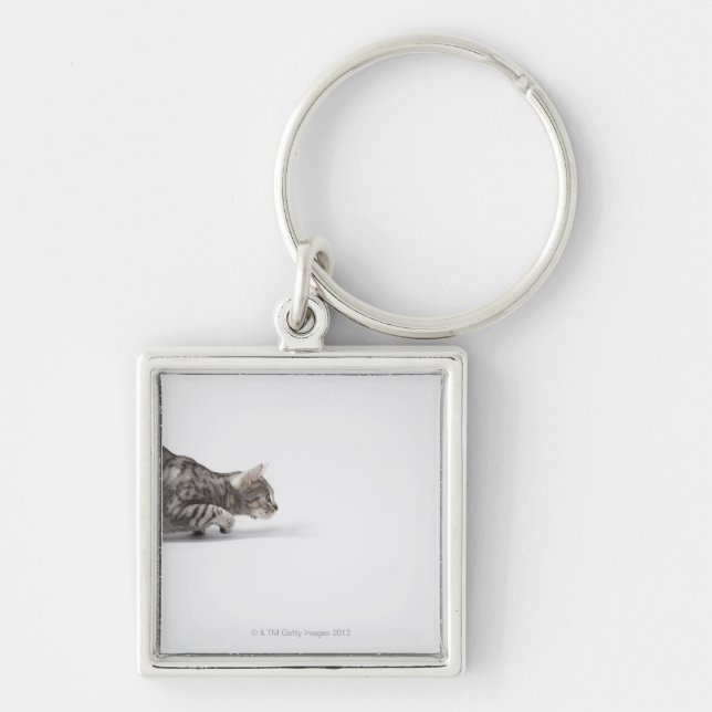 Chaveiro Gato pronto para atacar (Frente)