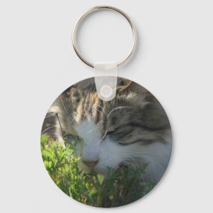 Chaveiro Gato que cheira uma planta