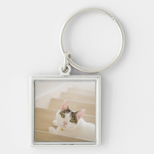 Chaveiro Gato que encontra-se em escadas (Frente)