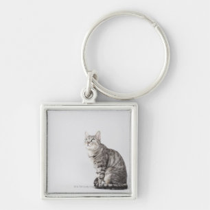 Chaveiro Gato que olha acima