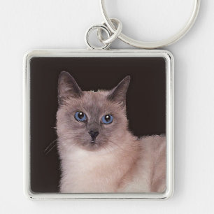 Chaveiro Gato Siames em Repouso